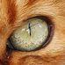 Dave Worner - Facebook