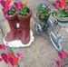 Dave Worrall - Facebook
