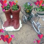 Dave Worrall - @dave.worrall.7311 - Instagram