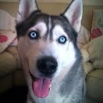 Dave Worthington - @worthington.dave - Instagram