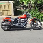 Dave Worthington - @hawaiiannutt - Instagram