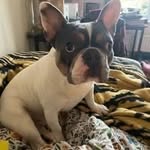 Dave Worthington - @daveworthington72 - Instagram