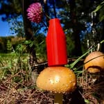 Dave Wottle the First - @cam_with_the_cam - Instagram