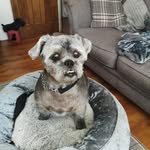 Dave Wray - @daviewray - Instagram