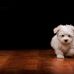 Dave Wray - Facebook