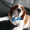 davewray68 - @davewray68 - TikTok