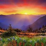 Dave Wunder - @ipad_lover_123 - Instagram