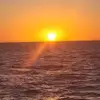 davewyatt50 - @dave.w78 - TikTok