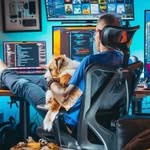 Hacking__Recovery - @dave__youn123 - Instagram