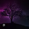 Davezilla - @davezilla034 - TikTok