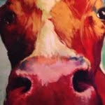Dave Zinn - @dog_zebra - Instagram