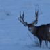 Dave Zoerb - Facebook