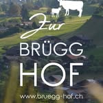 Dave Zurbrügg - @dave_zurbruegg - Instagram