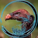 Davey Brown - @davey_brown_666 - Instagram