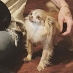 David Yun - @daveybrown - Instagram