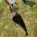 Dave Henderson - Facebook