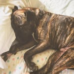 Dave Henderson - @davehenderson123 - Instagram
