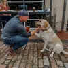 Dave Henderson - @dave_henderson - TikTok