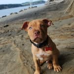 Dave Jackson - @drj9000 - Instagram