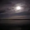 Jackson davey - @jackson.davey - TikTok