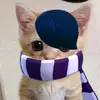 Davi Edgar - @davi.felipe.caixeta - TikTok