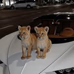 Davi neves - @d._neves22 - Instagram