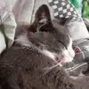 Davi Reis - @davi.reis401 - TikTok