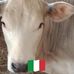 Davide Russo - Facebook