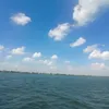 David Thach - @david.thach5 - TikTok