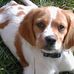 David Aames - Facebook