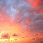 @david_aames_ - Instagram
