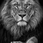 Eze David - Facebook