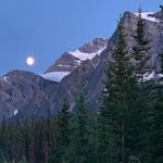 David Neraasen - @davidneraasen - Instagram