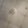 divoabatidavid - @divoabatidavid - TikTok
