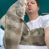 David Abbey - @davidabbey73 - TikTok