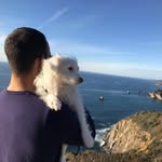 David Abboud - @davecombobulated - Instagram