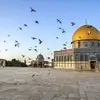 David Abdallah - @david.abdallah60 - TikTok