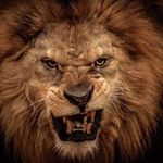 David Abdon - @abdon_david - Instagram