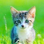 David Abedi - @abed_dapla - Instagram
