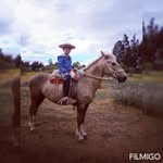@david abello - @david515714 - Instagram