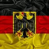 David Below - @david.below1 - TikTok