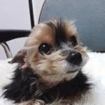 @davidabi - Instagram