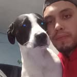 David Aboytes - @aboytesdavid - Instagram