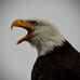 David Abrahamson - Facebook