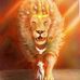 David Adel - Facebook