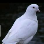 David Aderonke - @aderonke.david - Instagram