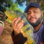 David Adrian  - @david_adrian65 - Instagram