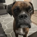 David Agee - @dagee77 - Instagram