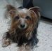 David Agosto - Facebook