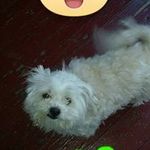 David Agosto - @_david_agosto_ - Instagram